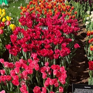 Hey everybody! I'm Alexa :)